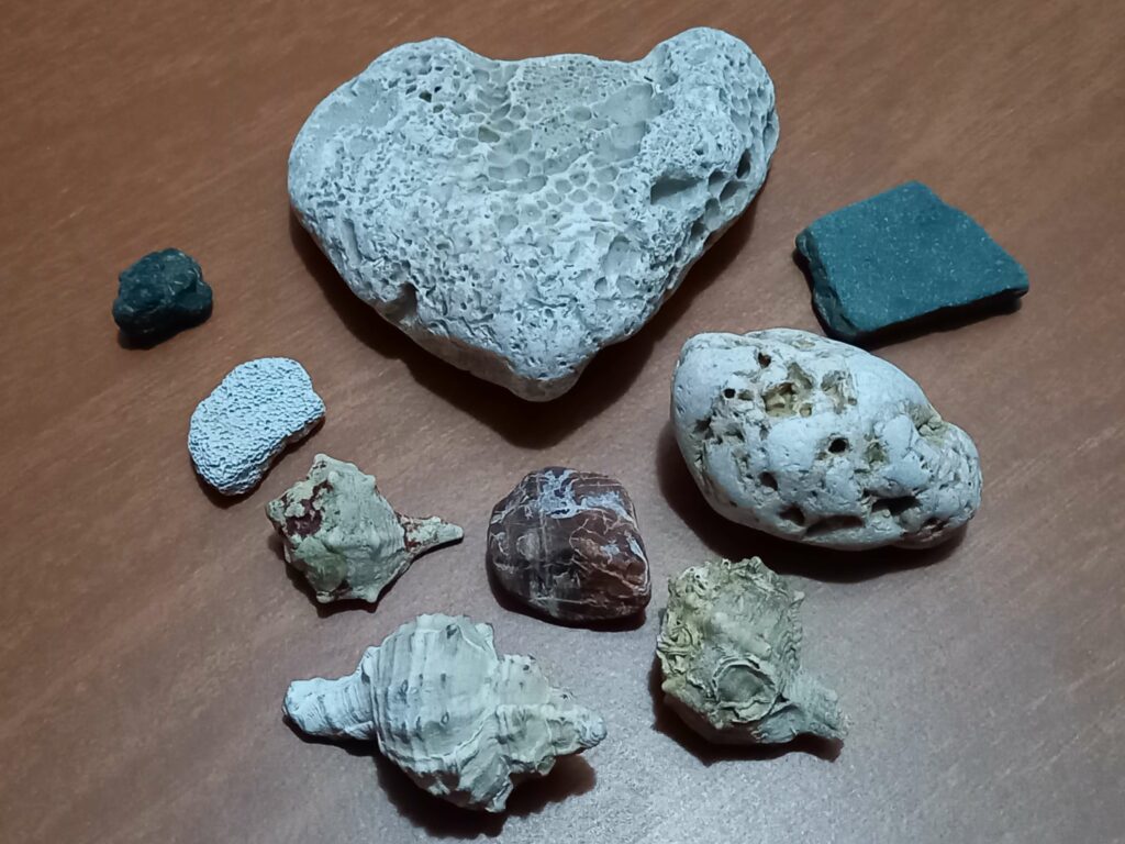Gesammelte Schätze